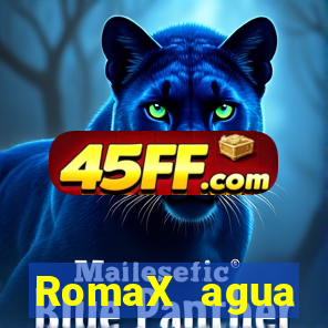 RomaX agua sanitaria fispq agua sanitaria romax